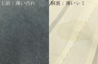 平和屋着物■江戸小紋　鮫小紋柄　正絹　逸品　BAAY3763hj