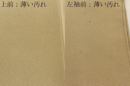 平和屋着物■豪華色留袖　鴛鴦花文　金彩　正絹　逸品　BAAY3787hj