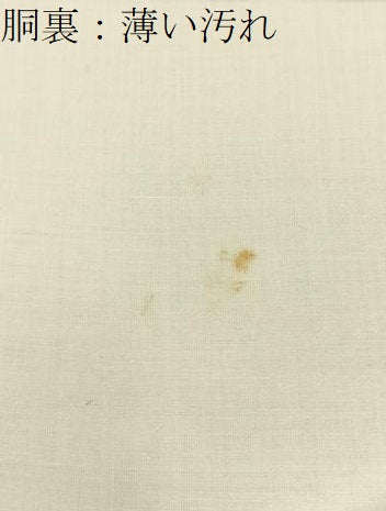 平和屋着物■上質な小紋　更紗花文　鬼しぼ縮緬　正絹　逸品　未使用　BAAY3814hj
