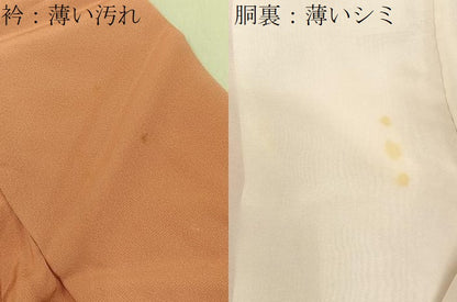 平和屋着物■訪問着　流水枝花文　暈し染め　正絹　逸品　BAAY3823hj
