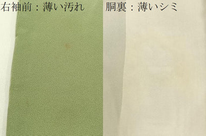 平和屋着物■豪華色留袖　流水花鳥文　暈し染め　金銀彩　正絹　逸品　BAAY3835hj