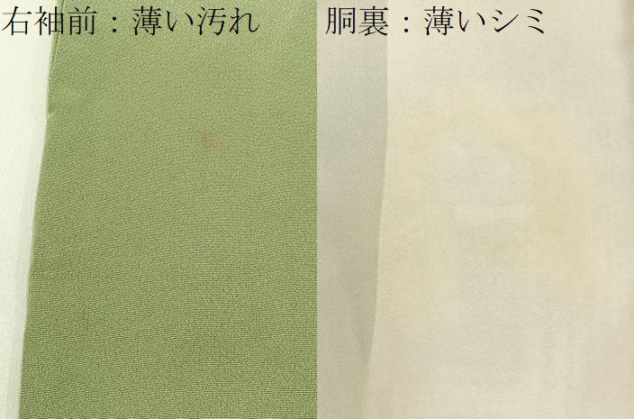 平和屋着物■豪華色留袖　流水花鳥文　暈し染め　金銀彩　正絹　逸品　BAAY3835hj