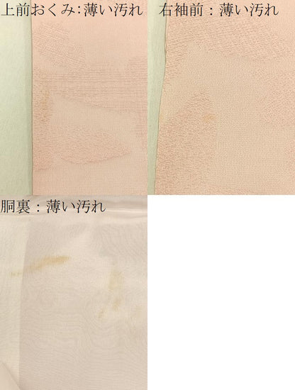 平和屋着物■上質な色無地　舞蝶地紋　虹色　松坂屋扱い　正絹　逸品　BAAY3837hj