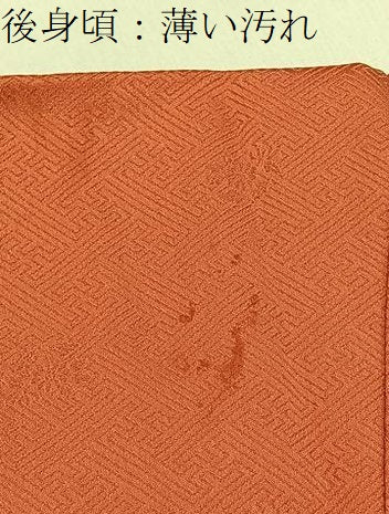 平和屋着物■訪問着　絞り　刺繍　重ね山草花文　金彩　正絹　逸品　BAAY3859hj