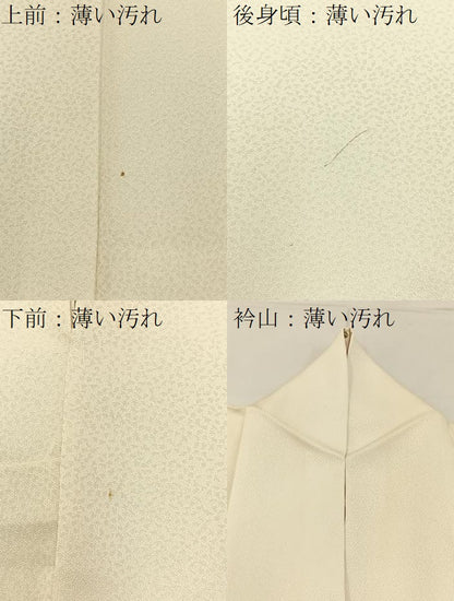 平和屋着物■訪問着　駒刺繍　草花文　金彩　正絹　逸品　BAAY3873hj