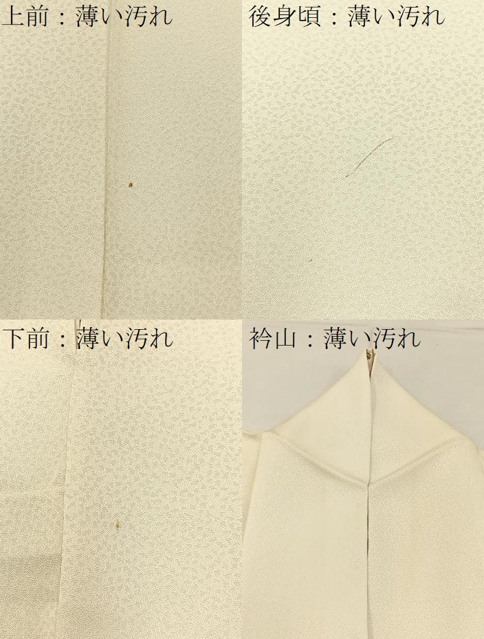 平和屋着物■訪問着　駒刺繍　草花文　金彩　正絹　逸品　BAAY3873hj