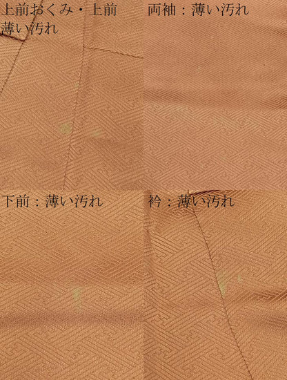 平和屋着物■豪華色留袖　作家物　流水桜文　金銀彩　正絹　逸品　BAAY3898hj