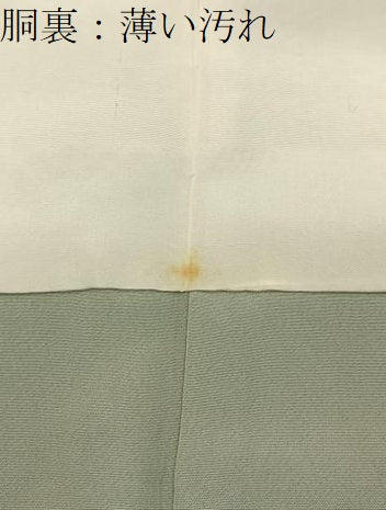 平和屋着物■上質な小紋　紬地　型染め　桐　正絹　逸品　BAAY3927hj