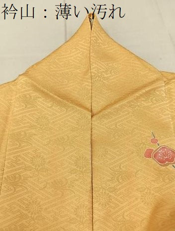 平和屋着物■訪問着　花鳥文　暈し染め　金彩　正絹　逸品　BAAY3929hj