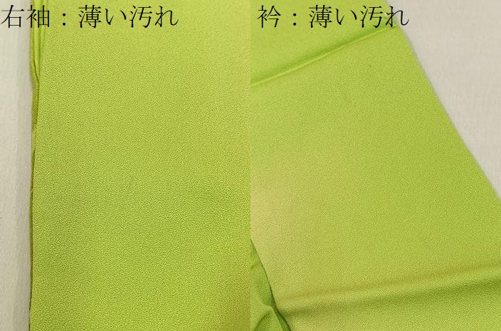 平和屋着物■訪問着　刺繍　カトレア　暈し染め　正絹　逸品　BAAY3945hj