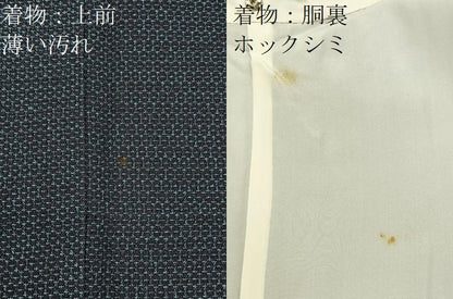 平和屋着物■上質な紬　アンサンブル　100亀甲　総詰め　正絹　逸品　BAAY3956hj