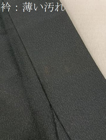 平和屋着物■男性　お召　千歳茶色　正絹　逸品　BAAY3962hj