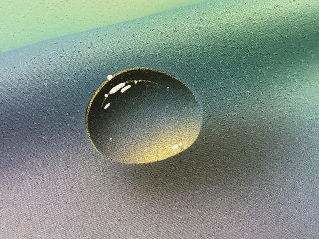 平和屋着物●染色作家　青木龍雲　訪問着　手描き　水玉　暈し染め　金彩　正絹　逸品　BAAY3965hj