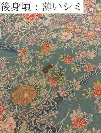 平和屋着物■上質な小紋　流水花鳥文　ロング丈　正絹　逸品　BAAY3999hj