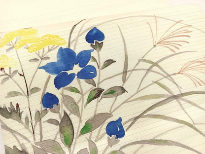 平和屋着物＊夏物　絽塩瀬　九寸開き名古屋帯　手描き　秋草文　銀彩　正絹　逸品　BAAY4006hv