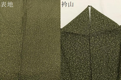 平和屋着物＊夏物　小紋　紗綾形紋紗　霞文　京都きもの友禅扱い　BAAY4179hv