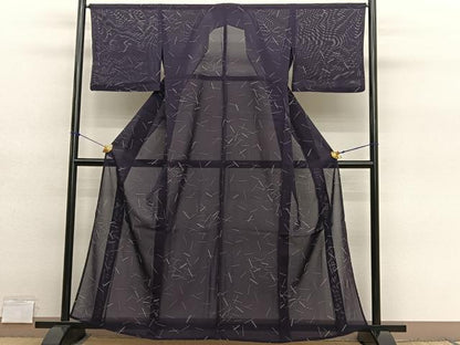 平和屋着物＊夏物　小紋　絽　幾何学文様　正絹　逸品　BAAY4180hv