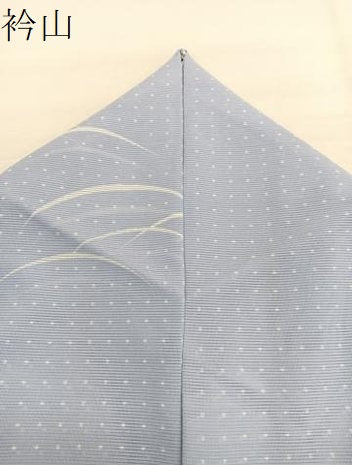 平和屋着物＊夏物　小紋　絽　芝草文　洗える着物　BAAY4229hv