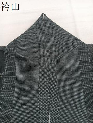平和屋着物＊夏物　小紋　紗　葡萄唐草文　黒地　洗える着物　BAAY4232hv