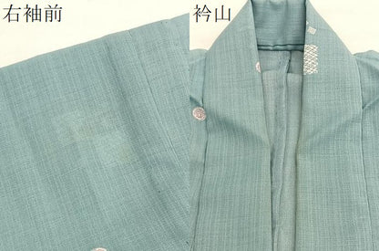 平和屋着物＊夏物　小紋　紗　兎草葉文　洗える着物　BAAY4283hv