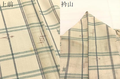 平和屋着物＊夏物　小紋　紗　琉球絣文様　洗える着物　BAAY4356hv