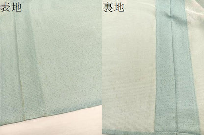 平和屋着物＊夏物　小紋　絽　雪輪花文　洗える着物　BAAY4393hv