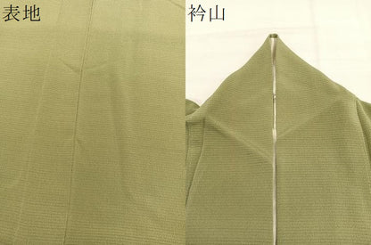 平和屋着物＊本加賀友禅作家　成竹登茂男監修　夏物　色無地　絽縮緬　根岸色　正絹　逸品　BAAY4500hv