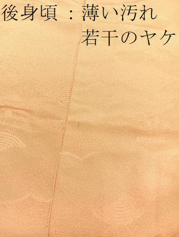 平和屋着物■江戸小紋　吉祥小紋柄　片輪車地紋　正絹　逸品　BAAY4571hv