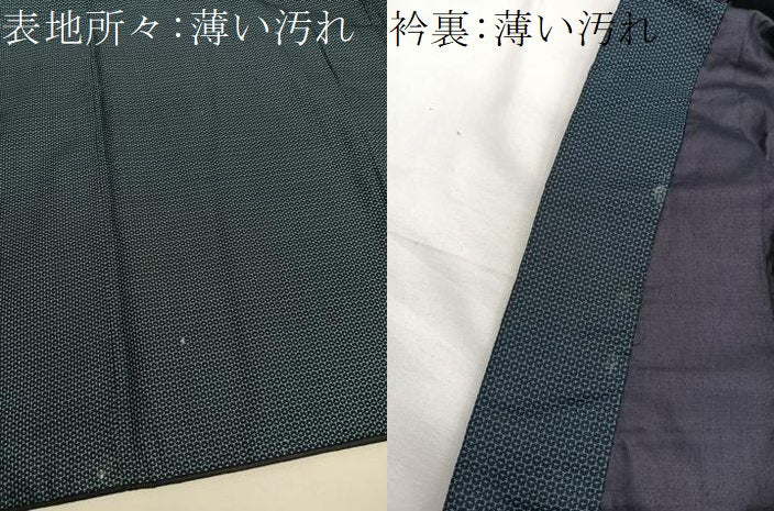 平和屋着物■上質な紬　100亀甲　正絹　逸品　BAAY4576hv