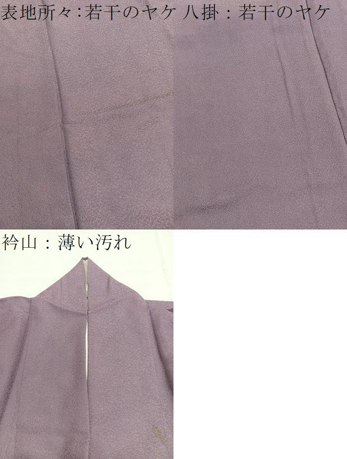 平和屋着物■江戸小紋　鮫小紋柄　正絹　逸品　BAAY4580hv