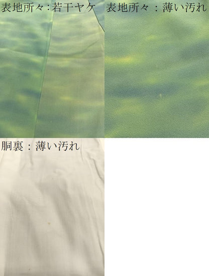 平和屋着物■虹色創家　本郷大田子　小紋　霞文　暈し染め　正絹　逸品　BAAY4583hv