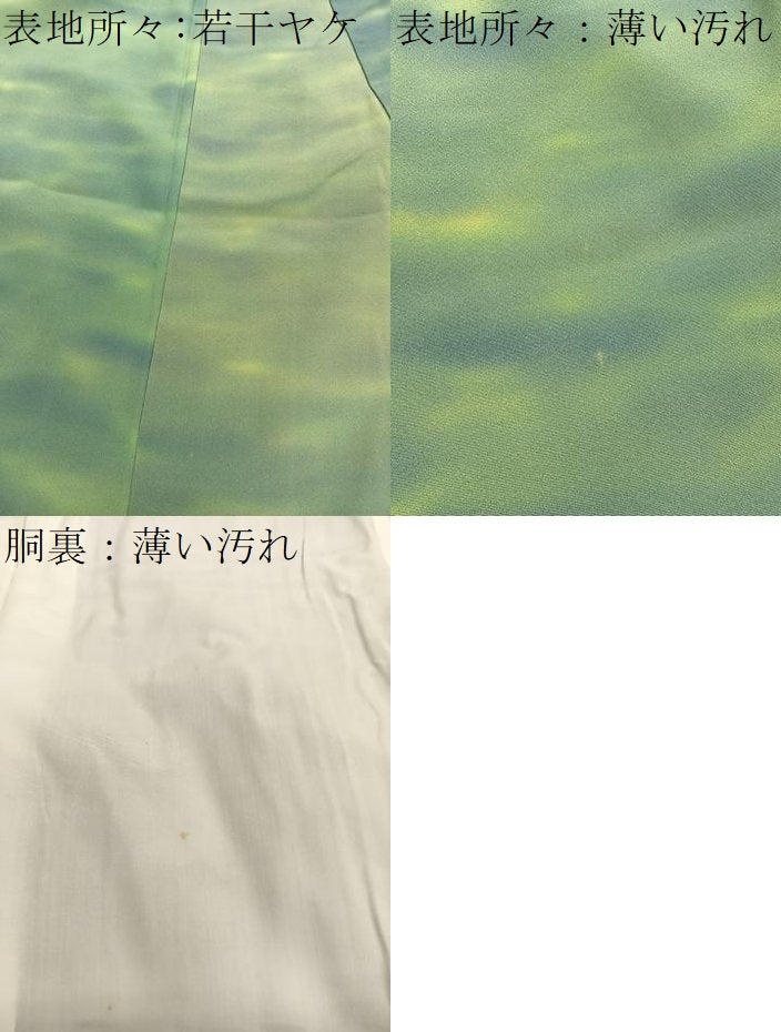 平和屋着物■虹色創家　本郷大田子　小紋　霞文　暈し染め　正絹　逸品　BAAY4583hv