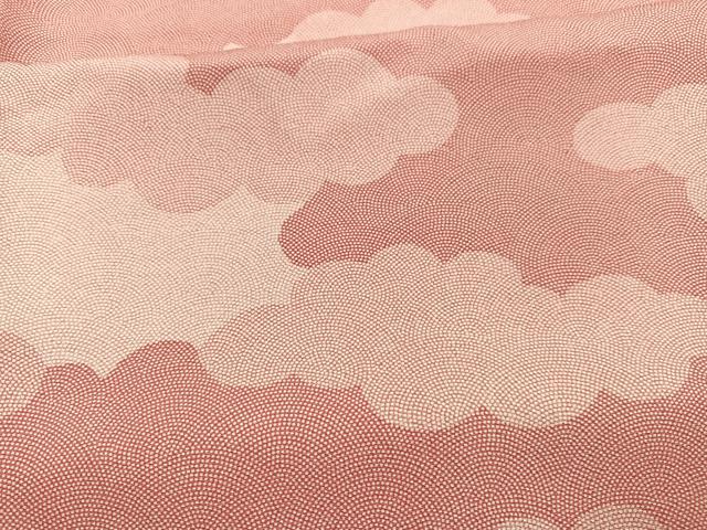 平和屋着物■上質な小紋　瑞雲　正絹　逸品　未使用　BAAY4588hv