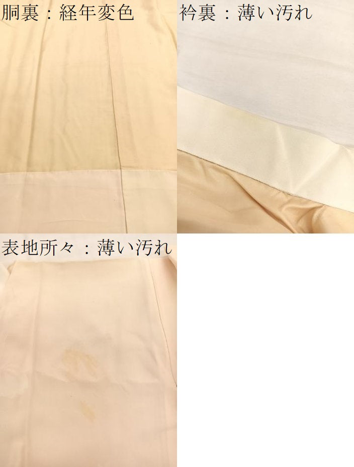 平和屋着物■長襦袢　袷　枝花文　暈し染め　正絹　逸品　BAAY4606hv