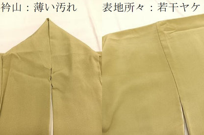 平和屋着物■豪華色留袖　作家物　手描き　寿光織　大名行列　暈し染め　金糸　正絹　逸品　BAAY4615hv