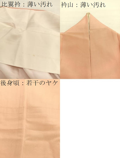平和屋着物■豪華色留袖　風景花文　暈し染め　金彩　正絹　逸品　BAAY4617hv