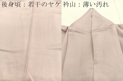 平和屋着物■豪華色留袖　飛鶴文　暈し染め　金糸　正絹　逸品　BAAY4622hv