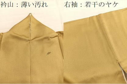 平和屋着物■訪問着　南天文　暈し染め　金彩　正絹　逸品　BAAY4626hv