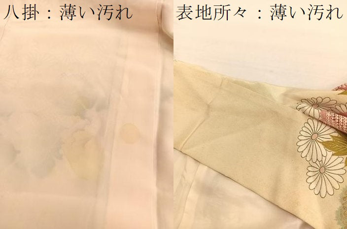 平和屋着物■訪問着　雲取り牡丹文　金彩　正絹　逸品　BAAY4627hv