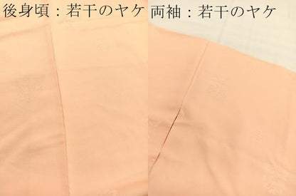 平和屋着物■上質な色無地　草花地紋　洒落柿色　正絹　逸品　BAAY4630hv