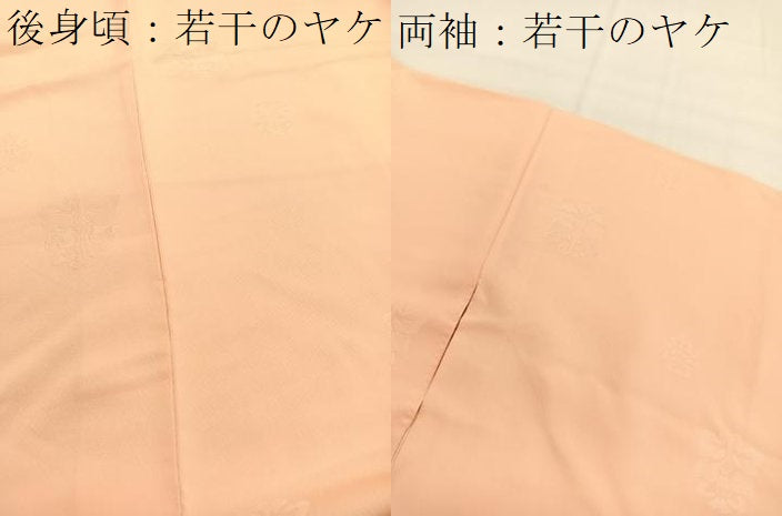 平和屋着物■上質な色無地　草花地紋　洒落柿色　正絹　逸品　BAAY4630hv