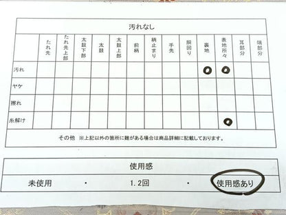 平和屋着物◎六通柄袋帯　唐織　紹巴　天井花鳥文　金糸　正絹　逸品　BAAY5023qw