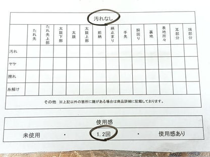 平和屋着物◎佐賀錦　両面　六通柄袋帯　鳳凰花文　金銀糸　正絹　逸品　BAAY5040qw