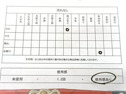 平和屋着物◎六通柄袋帯　唐織　花間道　黒地　金糸　正絹　逸品　BAAY5154qw