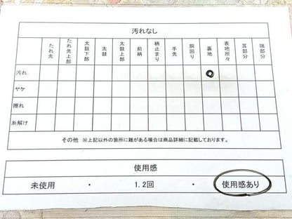 平和屋着物◎六通柄袋帯　加賀蒔絵　こはく二重織　金糸　正絹　逸品　BAAY5380qw