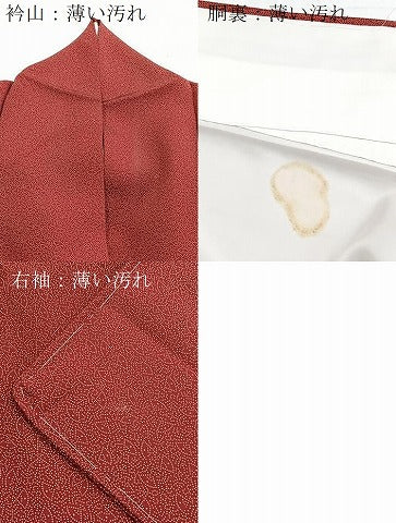 平和屋着物■江戸小紋　吉祥小紋柄　正絹　逸品　BAAY5401yc