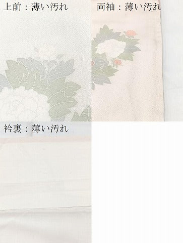 平和屋着物■訪問着　刺繍　薔薇　正絹　逸品　未使用　BAAY5436yc