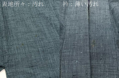 平和屋着物■男性　紬　霞文　正絹　逸品　BAAY5447yc