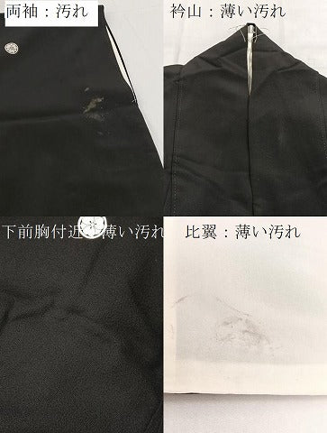 平和屋着物■豪華黒留袖　友禅　作家物　花鳥風景文　正絹　逸品　BAAY5461yc