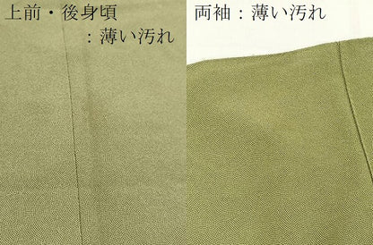 平和屋着物■江戸小紋　鮫小紋柄　正絹　逸品　BAAY5487yc